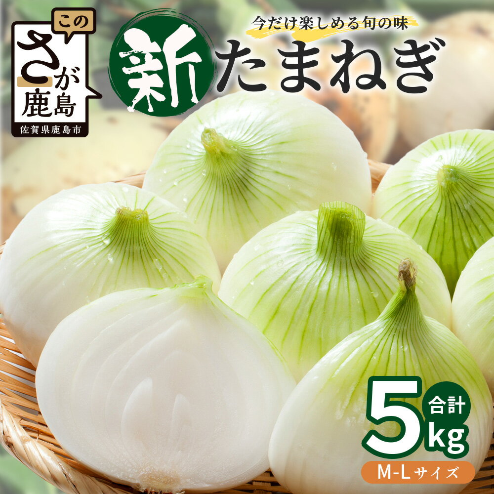 甘〜い！新たまねぎ 約5kg (MLサイズ）生産者直送！★大自然育ち【2026年4月より順次発送】タマネギ 玉葱 新タマ 新玉ねぎ サラダ 惣菜 お料理 ストック 箱買 美味しい 甘い 常備野菜 佐賀県 鹿島市産 人気 送料無料 A-180