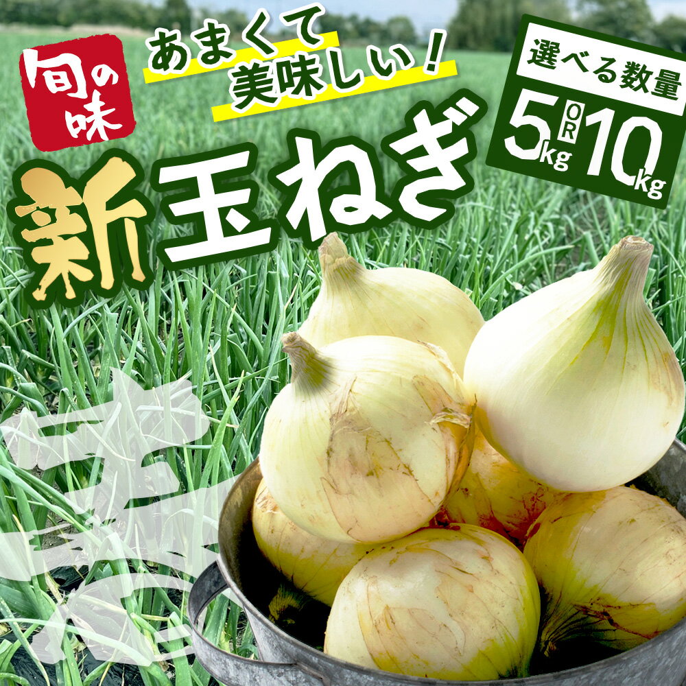 【ふるさと納税】先行予約 新玉ねぎ 5kg / 10kg 《鹿島市産》 玉ねぎ たまねぎ 玉葱 国産 甘い 新鮮 春野菜 サラダ 料理 大容量 産地直送 旬 野菜【2026年4月中旬より順次発送】佐賀県 鹿島市 人気 A-207 - 画像2