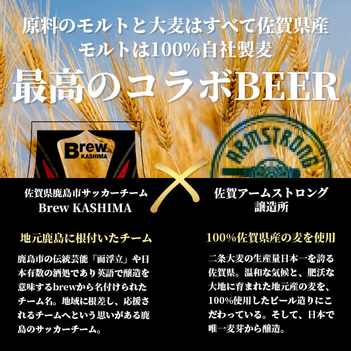 【ふるさと納税】佐賀県鹿島市　社会人サッカーチーム【Brew KASHIMA】応援　クラフトビール　Brew ビール　6本セット（330ml×6本） 国産 佐賀県産 佐賀県 鹿島市 ふるさと ビール 満足 美味しい 芳醇 人気 送料無料 D-209 サムネイル3