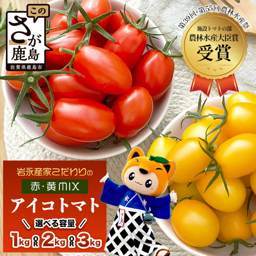 選べる容量 岩永さんちのミニトマト | アイコ赤・黄MIX | 約1kg / 2kg / 3kg【農林水産大臣賞受賞】有機肥料・化学肥料不使用 | 生産者直送 野菜 旬 とまと プチトマト サラダ やさい 旬 新鮮 おやつ お弁当 ふるさと 人気 送料無料 佐賀県 鹿島市 B-893
