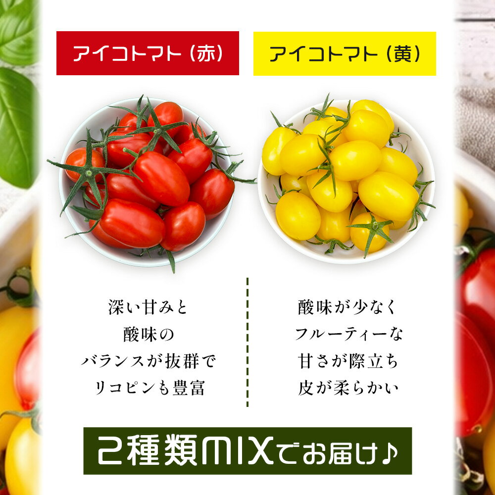 【ふるさと納税】選べる容量 岩永さんちのミニトマト | アイコ赤・黄MIX | 約1kg / 2kg / 3kg【農林水産大臣賞受賞】有機肥料・化学肥料不使用 | 生産者直送 野菜 旬 とまと プチトマト サラダ やさい 旬 新鮮 おやつ お弁当 ふるさと 人気 送料無料 佐賀県 鹿島市 B-893 - 画像3