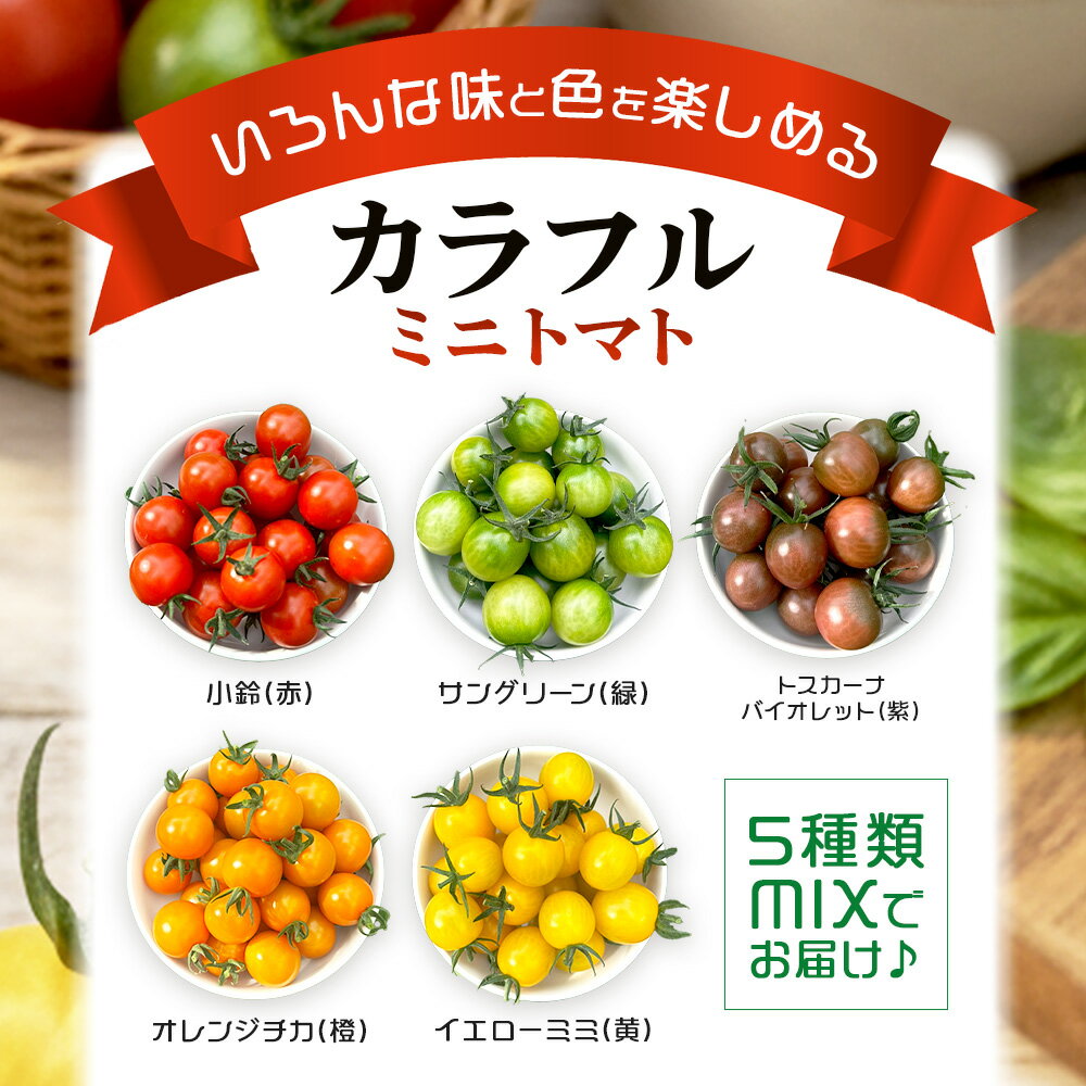 【ふるさと納税】選べる容量 岩永さんちのカラフルミニトマト (5色) 約1kg / 2kg / 3kg【農林水産大臣賞受賞】有機肥料・化学肥料不使用 | 生産者直送 野菜 旬 とまと プチトマト サラダ やさい 旬 新鮮 おやつ お弁当 ふるさと 人気 送料無料 佐賀県 鹿島市 D-221 - 画像2