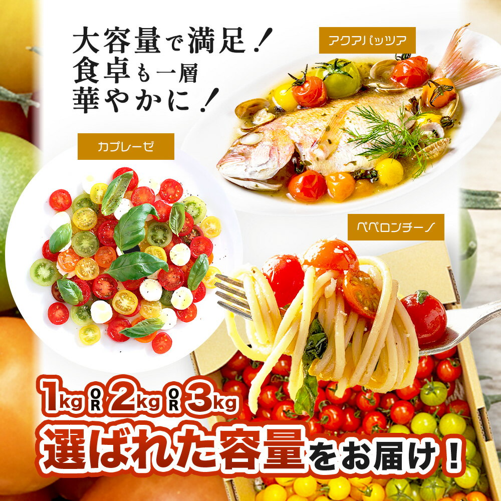 【ふるさと納税】選べる容量 岩永さんちのカラフルミニトマト (5色) 約1kg / 2kg / 3kg【農林水産大臣賞受賞】有機肥料・化学肥料不使用 | 生産者直送 野菜 旬 とまと プチトマト サラダ やさい 旬 新鮮 おやつ お弁当 ふるさと 人気 送料無料 佐賀県 鹿島市 D-221 - 画像3