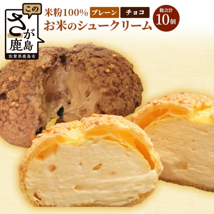 ★5.0 お米のシュークリーム 詰め合わせ プレーン チョコ 各種5個 合計10個 米粉使用 小麦粉不使用 お菓子 スイーツ 洋菓子 冷凍 ひのでや 送料無料 B-480