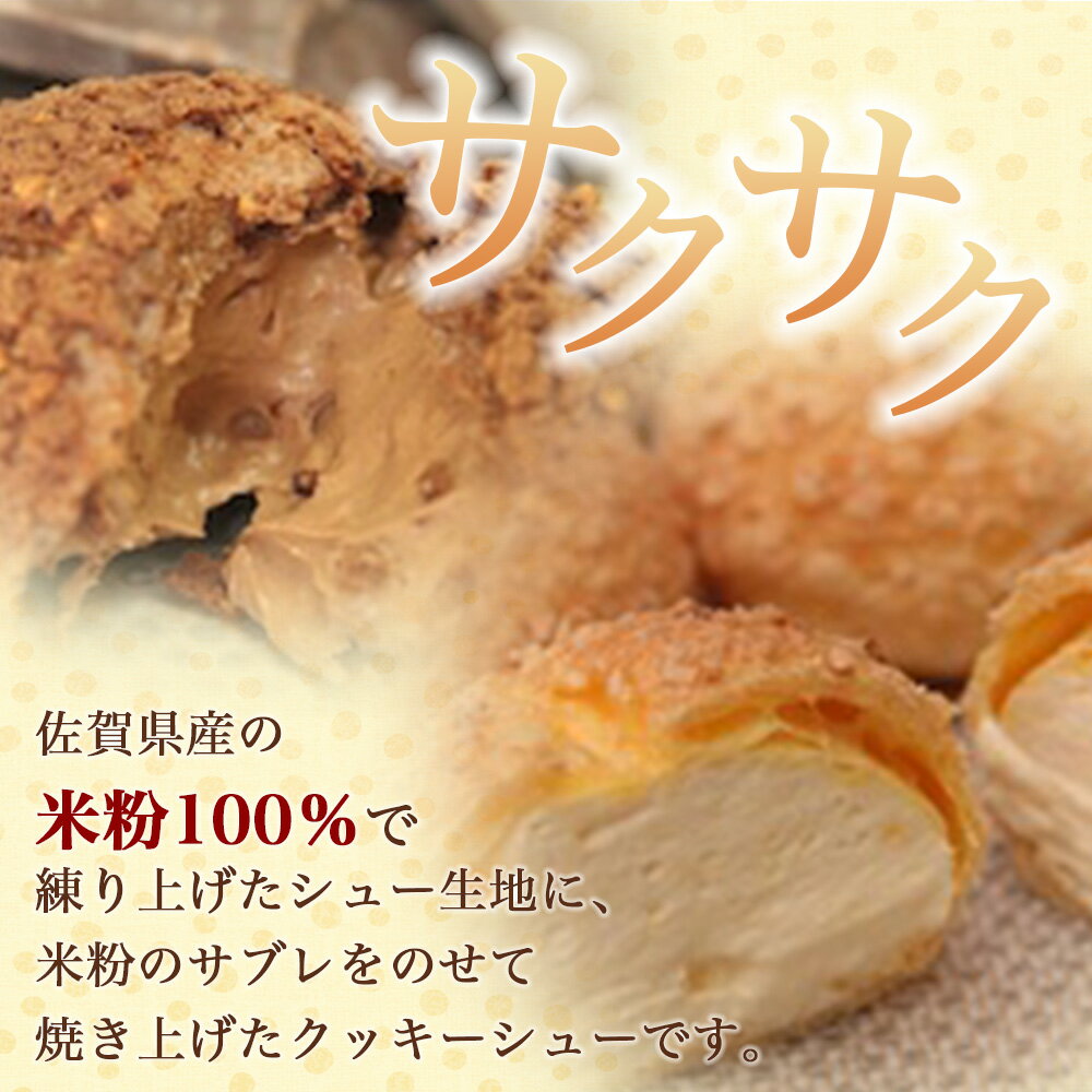 【ふるさと納税】★5.0 お米のシュークリーム 詰め合わせ プレーン チョコ 各種5個 合計10個 米粉使用 小麦粉不使用 お菓子 スイーツ 洋菓子 冷凍 ひのでや 送料無料 B-480 - 画像2