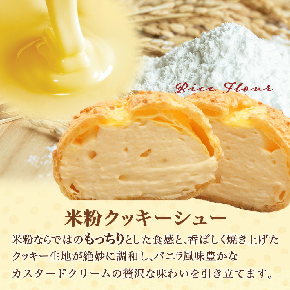 【ふるさと納税】★5.0 お米のシュークリーム 詰め合わせ プレーン チョコ 各種5個 合計10個 米粉使用 小麦粉不使用 お菓子 スイーツ 洋菓子 冷凍 ひのでや 送料無料 B-480 - 画像3