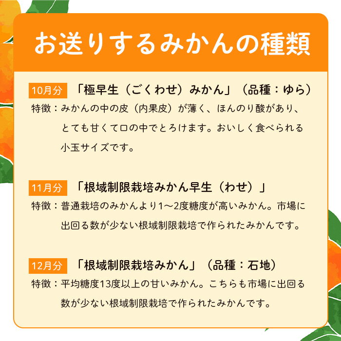 【ふるさと納税】【定期便】平倉果樹園 みかん 食べ比べ コース 毎月 約5.5kg 選べる 2回 / 3回 | ふるさと納税 温州みかん 5kg 定期便 ミカン フルーツ 果物 くだもの 極早生 ゆら 早生 根域制限栽培 蜜柑 送料無料 人気 《10月〜12月まで毎月下旬頃お届け予定》 E-70 サムネイル2