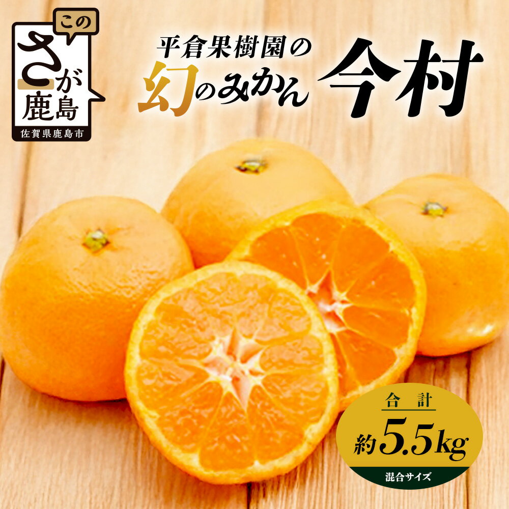まぼろしのみかん『今村』 約5.5kg 平倉果樹園のみかん サイズ混合《2026年2月上旬〜2月末配送予定》 | みかん 5kg 温州みかん 希少 幻 ミカン 甘い フルーツ 果物 高糖度 平均糖度12度 国産 ふるさと 九州 佐賀県 鹿島市 人気 おすすめ 送料無料 B-345