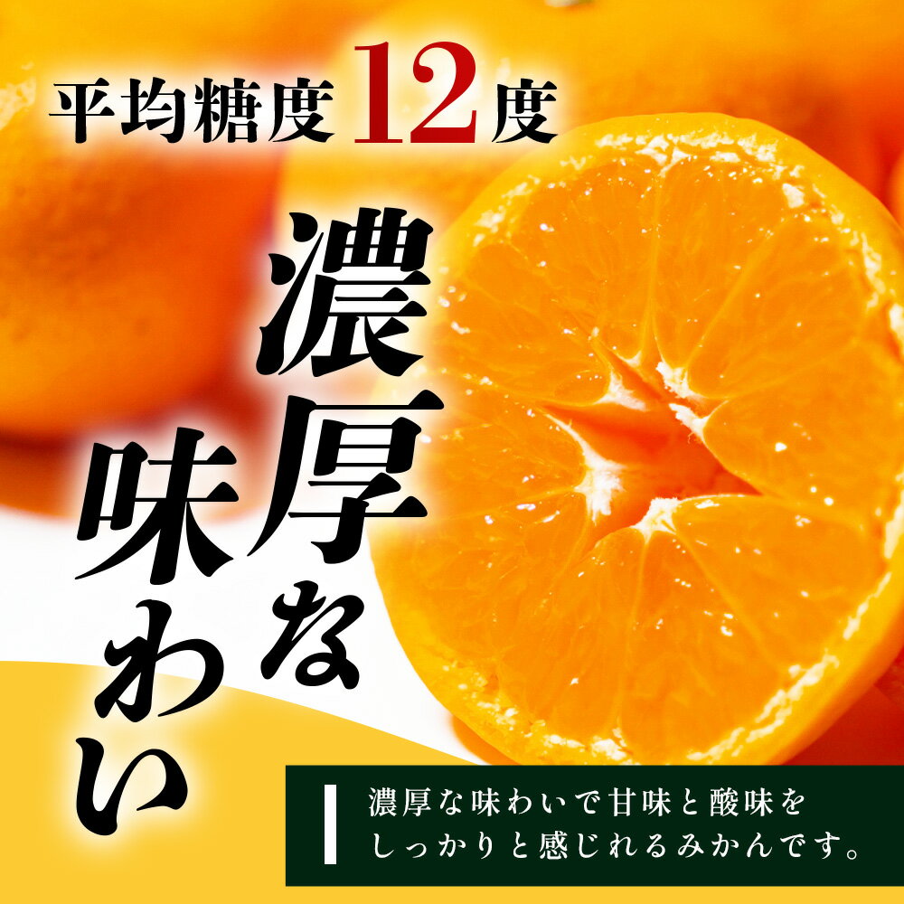 【ふるさと納税】まぼろしのみかん『今村』 約5.5kg 平倉果樹園のみかん サイズ混合《2026年2月上旬〜2月末配送予定》 | みかん 5kg 温州みかん 希少 幻 ミカン 甘い フルーツ 果物 高糖度 平均糖度12度 国産 ふるさと 九州 佐賀県 鹿島市 人気 おすすめ 送料無料 B-345 サムネイル2