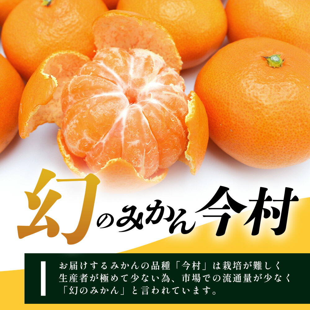 【ふるさと納税】まぼろしのみかん『今村』 約5.5kg 平倉果樹園のみかん サイズ混合《2026年2月上旬〜2月末配送予定》 | みかん 5kg 温州みかん 希少 幻 ミカン 甘い フルーツ 果物 高糖度 平均糖度12度 国産 ふるさと 九州 佐賀県 鹿島市 人気 おすすめ 送料無料 B-345 サムネイル3
