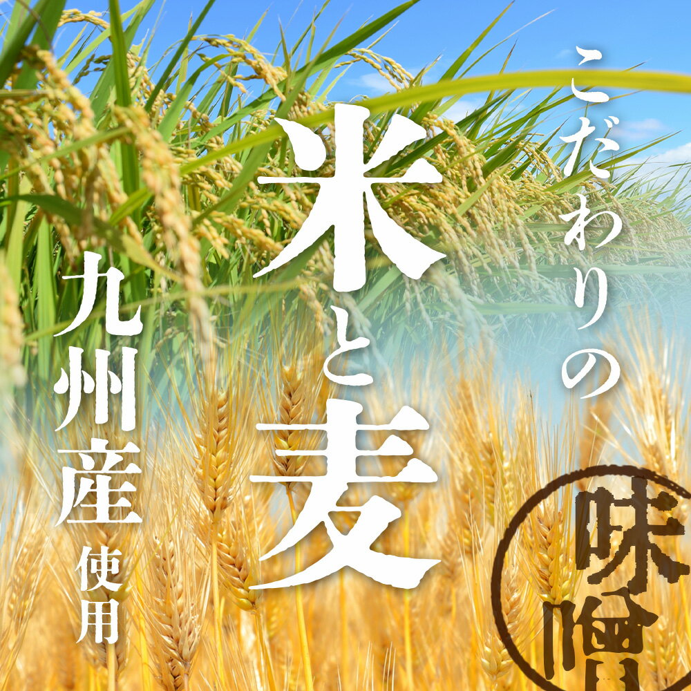 【ふるさと納税】地元麹屋さん手作りの味噌セット 合計5.1kg 2種 各3個 合計6個 850g×6 米味噌 あわせ味噌 味噌汁 手作り セット 佐賀県 九州 国産 送料無料 B-247 サムネイル3