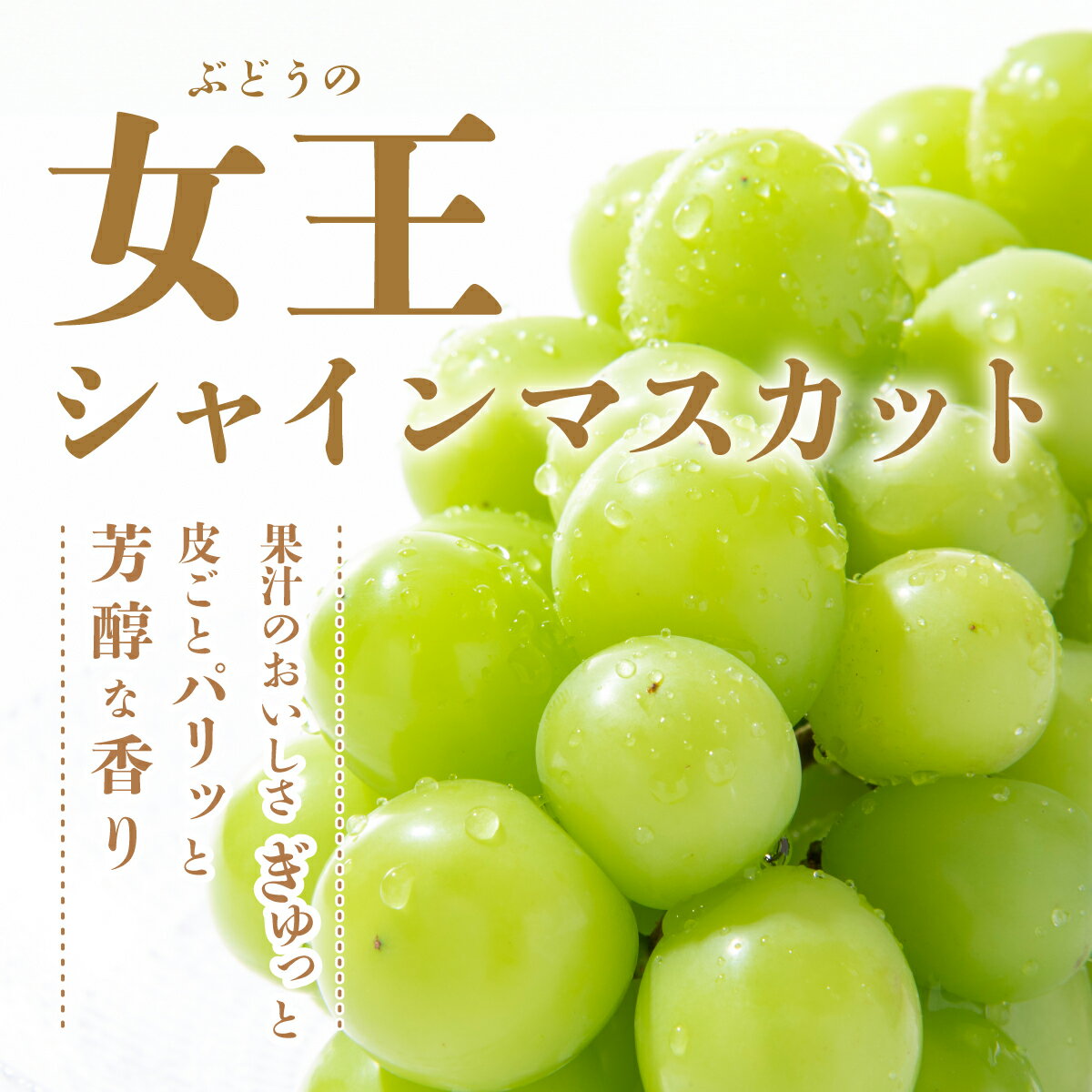 【ふるさと納税】ご家庭用 シャインマスカット 約1.2kg〜2.4kg 2026年 先行予約 佐賀県産 [2026年8月上旬以降発送] | ふるさと納税シャインマスカット マスカット ぶどう 葡萄 果物 フルーツ 旬 高級 ふるさと くだもの スイーツ 佐賀県 鹿島市 人気 おすすめ 送料無料 B-658 - 画像2
