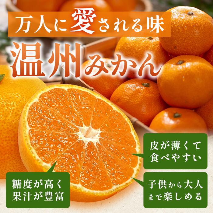 【ふるさと納税】佐賀県産 温州みかん 11kg (2L〜3L混載) 大玉みかん 《2025年11月下旬〜1月上旬頃発送予》| ふるさと納税 みかん 大玉 大容量 果物 フルーツ くだもの 果実 甘い 柑橘 お取り寄せ 旬 国産 九州 ふるさと 人気 佐賀産 鹿島産 送料無料 B-802 サムネイル2