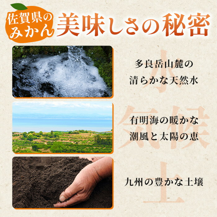【ふるさと納税】佐賀県産 温州みかん 11kg (2L〜3L混載) 大玉みかん 《2025年11月下旬〜1月上旬頃発送予》| ふるさと納税 みかん 大玉 大容量 果物 フルーツ くだもの 果実 甘い 柑橘 お取り寄せ 旬 国産 九州 ふるさと 人気 佐賀産 鹿島産 送料無料 B-802 サムネイル3