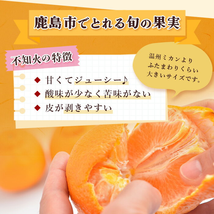 【ふるさと納税】【訳あり】よかんばい 鹿島産 不知火 約11kg イタミ保証含 【お届け期日指定不可】サイズ混合 みかん | ふるさと納税 みかん 蜜柑 柑橘 しらぬい 果物 くだもの フルーツ 果実 国産 お取り寄せ 訳アリ 規格外 ふるさと 人気 佐賀県 鹿島市 送料無料 B-292 - 画像2