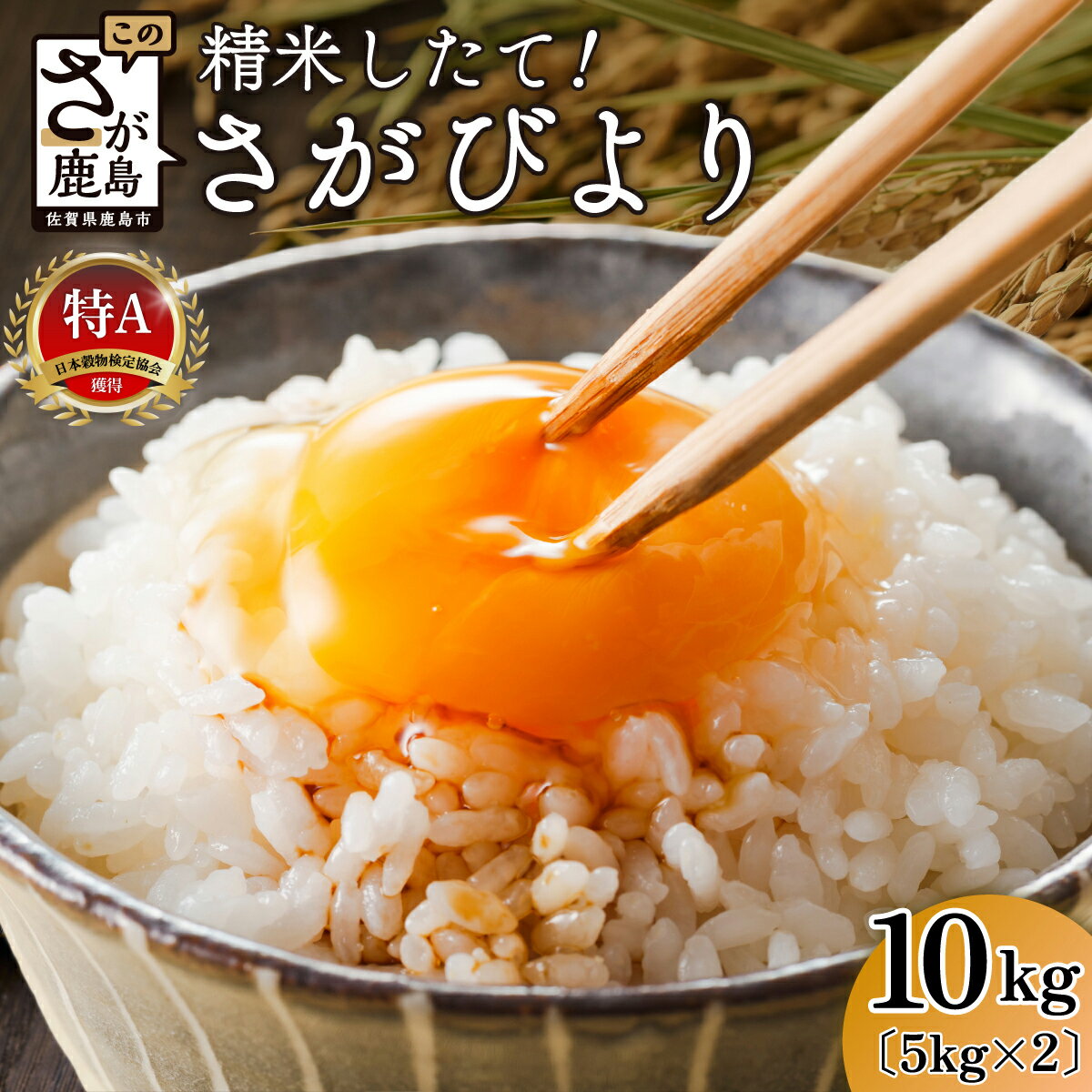 さがびより 白米 10kg 《5kg × 2袋》令和7年産 鹿島市産 特A 獲得 | ふるさと納税 ふるさと 米 お米 新米 精米 こめ 国産 佐賀県 鹿島市 ふるさと 人気 送料無料 B-167