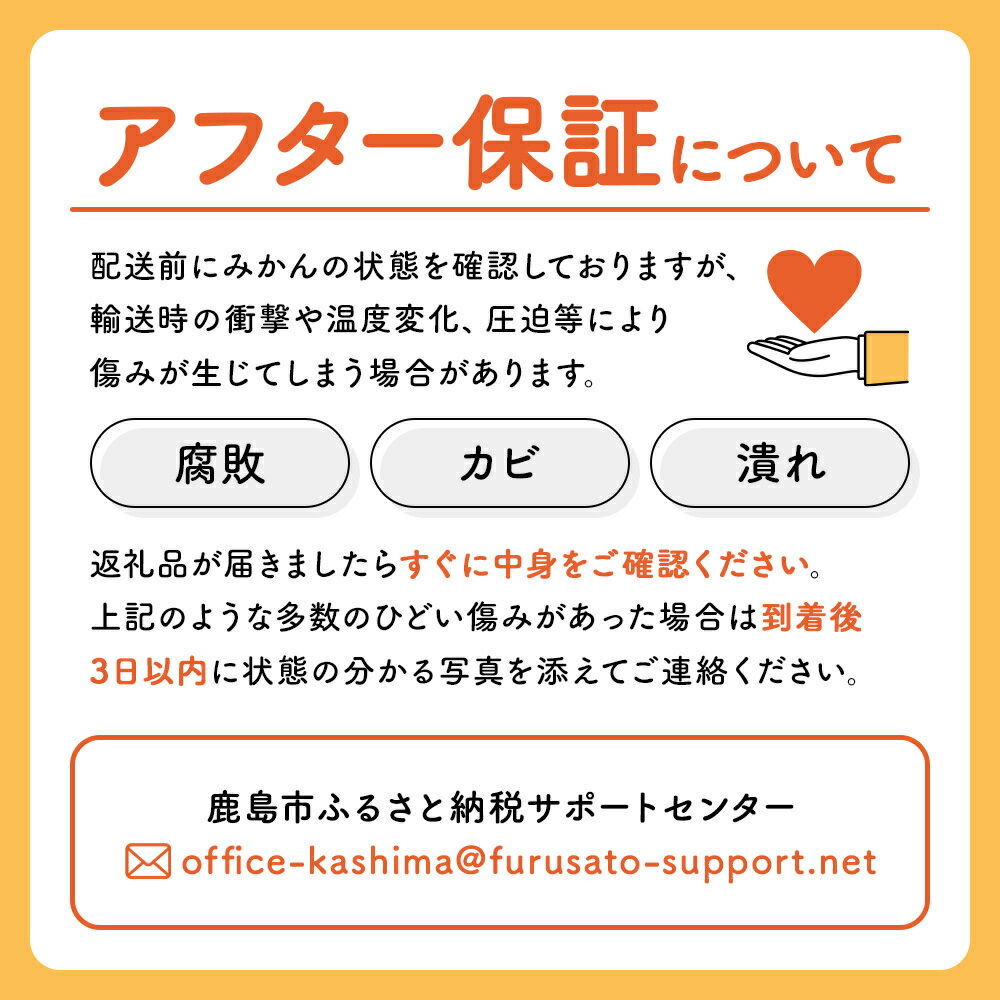 【ふるさと納税】【数量限定】【先行予約】まるな 柑橘園の 小粒 みかん 約10kg 小玉サイズ Sサイズ以下 ミカン 蜜柑 佐賀県 鹿島市産 送料無料 【2025年9月下旬以降から発送予定】 A-64 サムネイル3