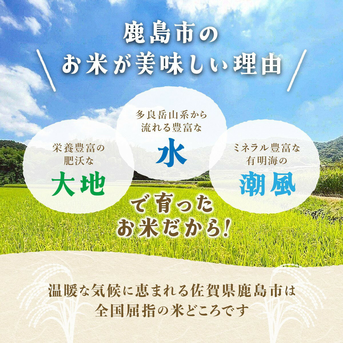 【ふるさと納税】令和7年産 16年連続特A さがびより 白米 10kg 27kg ★5.0 夢しずく 食べ比べも選べる 佐賀県産 | ふるさと納税 米 佐賀 10kg お米 こめ 精米 ブランド米 国産 ふるさと オススメ 最高評価 人気 佐賀県 鹿島市 送料無料 B-20 - 画像3
