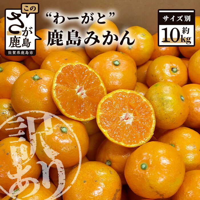 【先行予約】（2026年11月上旬～発送）”わーがと”鹿島産がばい訳アリみかん 約10kg【大中小サイズ別】or【サイズ混合】【期日指定不可】 | ふるさと納税 みかん 蜜柑 柑橘 果物 フルーツ 果実 国産 佐賀県 鹿島市 ふるさと 人気 送料無料 A-90
