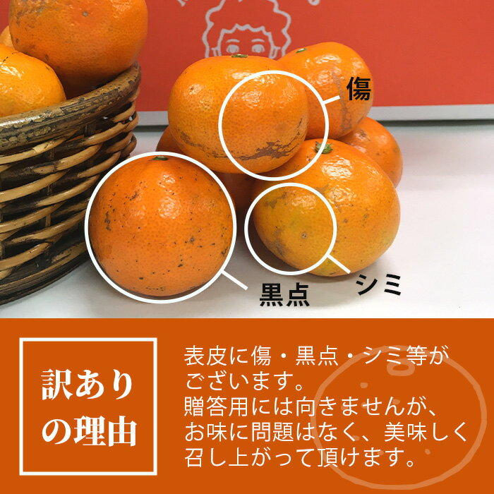 【ふるさと納税】【先行予約】（2026年11月上旬～発送）”わーがと”鹿島産がばい訳アリみかん 約10kg【大中小サイズ別】or【サイズ混合】【期日指定不可】 | ふるさと納税 みかん 蜜柑 柑橘 果物 フルーツ 果実 国産 佐賀県 鹿島市 ふるさと 人気 送料無料 A-90 - 画像2
