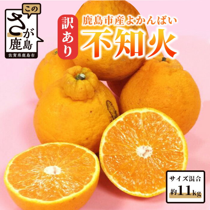 【訳あり】よかんばい 鹿島産 不知火 約11kg イタミ保証含 【お届け期日指定不可】サイズ混合 みかん | ふるさと納税 みかん 蜜柑 柑橘 しらぬい 果物 くだもの フルーツ 果実 国産 お取り寄せ 訳アリ 規格外 ふるさと 人気 佐賀県 鹿島市 送料無料 B-292
