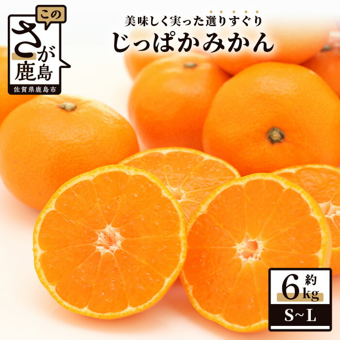 【先行予約】（2026年12月頃発送）じっぱか 鹿島産 みかん 6kg 大中小【大中小サイズ別】【期日指定不可】 | ふるさと納税 みかん 蜜柑 柑橘 果物 フルーツ 果実 国産 佐賀県 鹿島市 ふるさと 人気 送料無料 A-99