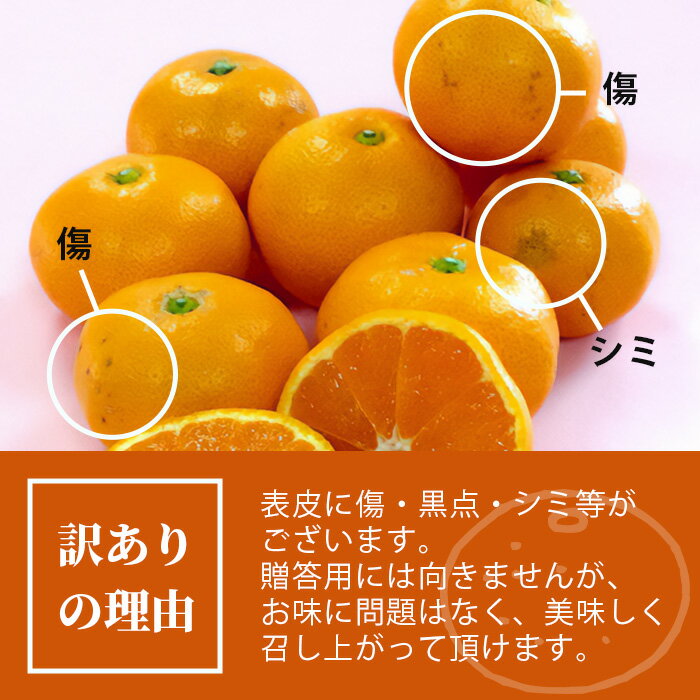 【ふるさと納税】数量限定『よかんばい』 鹿島産 みかん【大中小サイズ混合 |約12kg】 訳アリ 傷アリ ミカン 果物 フルーツ 佐賀県 鹿島市 送料無料 【11月中旬から配送予定】 B-374 サムネイル2