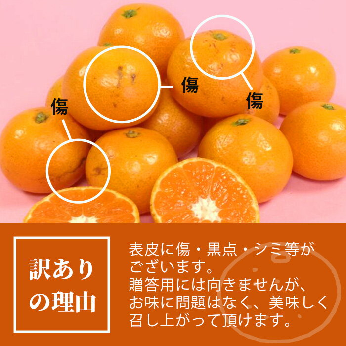 【ふるさと納税】【先行予約】★4.5 やーらしか 鹿島産みかん 6.5kg｜【数量限定】小粒サイズ 訳あり ふるさと納税 みかん 小玉 ミカン 蜜柑 果物 フルーツ 温州みかん 旬 国産 生産者直送 国産 佐賀県産 送料無料 AA-6 サムネイル2