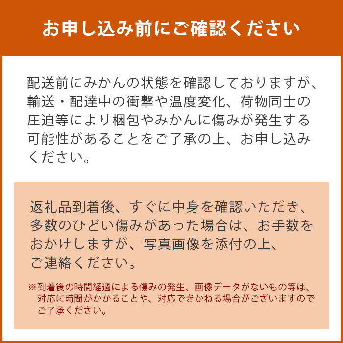 【ふるさと納税】【先行予約】★4.5 やーらしか 鹿島産みかん 6.5kg｜【数量限定】小粒サイズ 訳あり ふるさと納税 みかん 小玉 ミカン 蜜柑 果物 フルーツ 温州みかん 旬 国産 生産者直送 国産 佐賀県産 送料無料 AA-6 サムネイル3