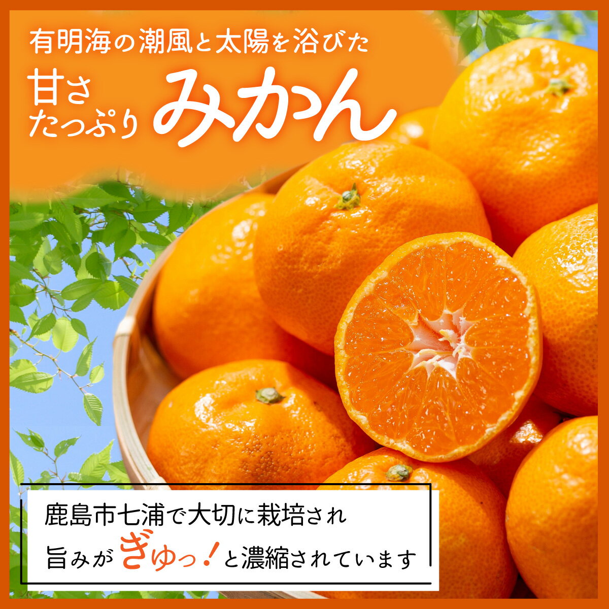 【ふるさと納税】【訳あり】【数量限定】よかんばい 鹿島産 みかん 12kg 大中小 サイズ別 【11月中旬より順次配送予定】 ふるさと納税 みかん 蜜柑 柑橘 果物 フルーツ 果実 国産 佐賀県 鹿島市 ふるさと 人気 送料無料 B-250 サムネイル2