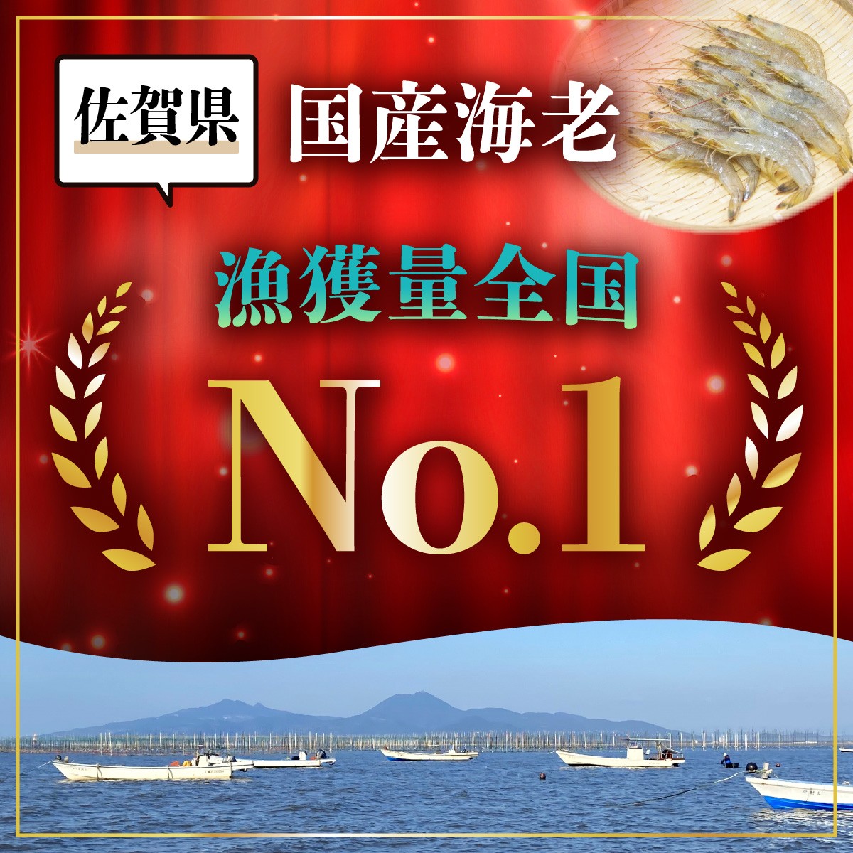 【ふるさと納税】国産天然海老★4.7以上 有明海産 天然 芝エビ 冷凍 500g 〜 2.5kg 生食OK レシピ集付き | ふるさと納税 えび 海老 芝海老 真エビ 冷凍えび 国産 海鮮 魚介類 刺身 大容量 高評価 おすすめ 佐賀県 鹿島市 ふるさと 人気 送料無料 B-357 - 画像2