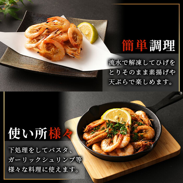 【ふるさと納税】高評価★4.73 有明海産 芝エビ 真エビ 1kg (500g×2パック) or 2.5kg (500g×5パック) | ふるさと納税 えび 海老 芝海老 冷凍えび 冷凍 国産 海鮮 緊急支援品 有明海産 佐賀県 鹿島市 ふるさと 人気 送料無料 B-357 サムネイル3