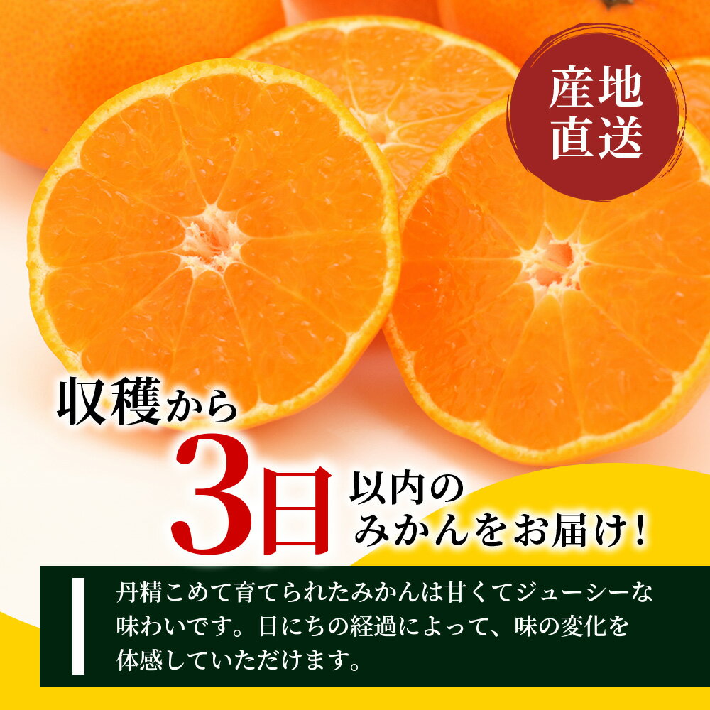 【ふるさと納税】採れたて 温州みかん 約5kg《収穫後3日以内発送》農家直送 | ふるさと納税 みかん 5kg ミカン 蜜柑 フレッシュ 柑橘 果物 フルーツ くだもの 果実 お取り寄せ ふるさと おすすめ 国産 九州 佐賀県 鹿島市 人気 送料無料 B-530 サムネイル3