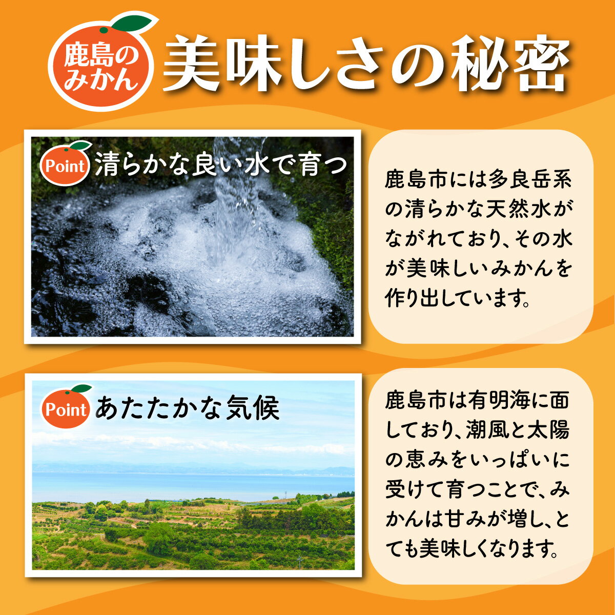 【ふるさと納税】【2025年先行予約】★4.7 温州みかん 約5~11kg 小玉 / サイズ混合 | ふるさと納税 みかん ミカン 果物 フルーツ 蜜柑 お取り寄せ ギフト 国産 佐賀県産 佐賀県 鹿島市 ふるさと 人気 送料無料 B-279 11月上旬～12月中旬頃発送予定 サムネイル2