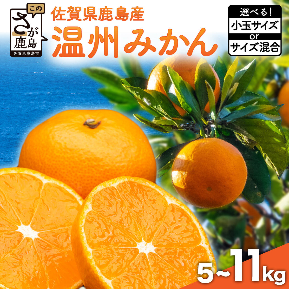 【2025年先行予約】★4.7 温州みかん 約5~11kg 小玉 / サイズ混合 | ふるさと納税 みかん ミカン 果物 フルーツ 蜜柑 お取り寄せ ギフト 国産 佐賀県産 佐賀県 鹿島市 ふるさと 人気 送料無料 B-279 11月上旬～12月中旬頃発送予定