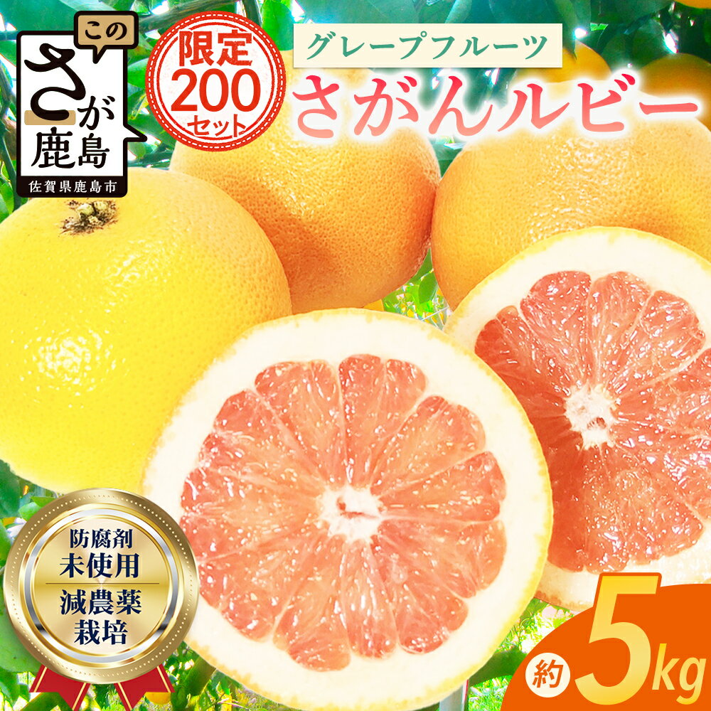 数量限定 日本初！幻の国産グレープフルーツ！【さがんルビー 5kg（中玉12〜16個）】【先行予約】メディアも注目◆ジューシー柑橘｜柑橘 果物 フルーツ 生産者直送の安心品質 【3月下旬頃より順次発送予定】佐賀県 鹿島市 送料無料 B-2