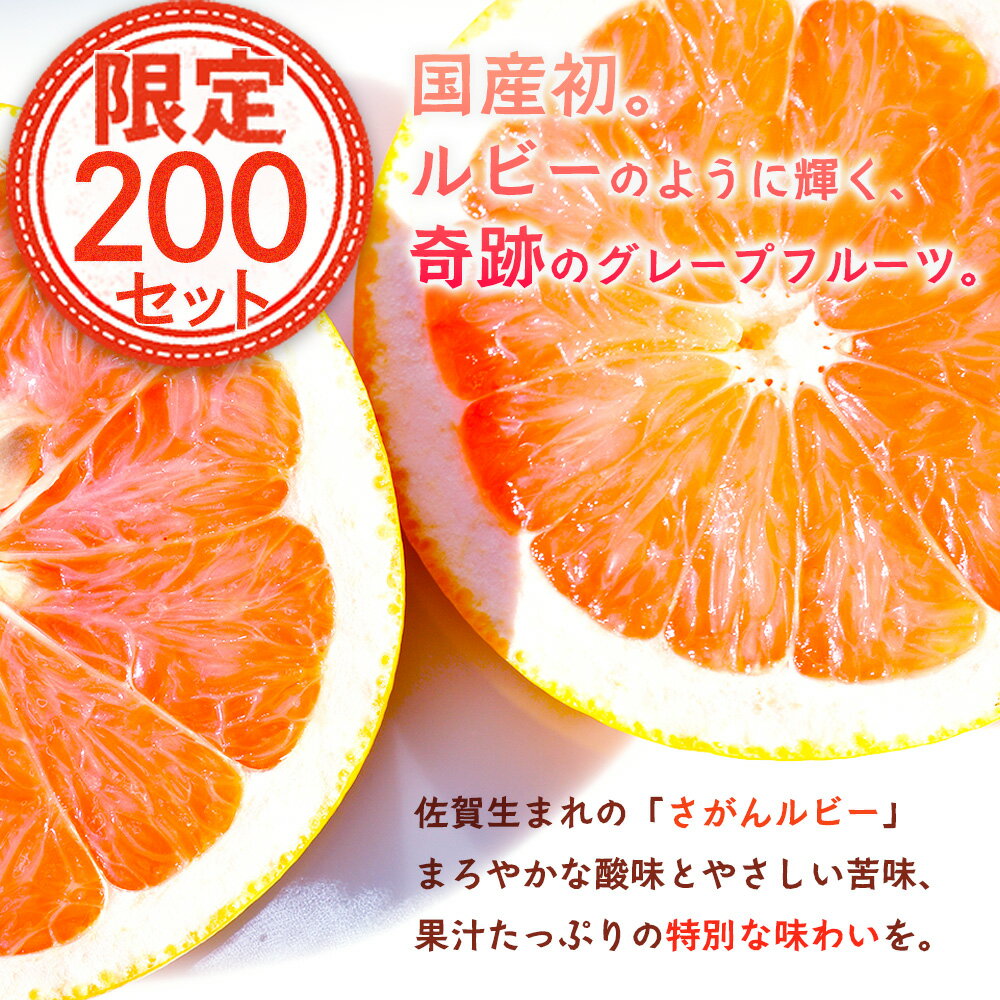 【ふるさと納税】数量限定 日本初！幻の国産グレープフルーツ！【さがんルビー 5kg（中玉12〜16個）】【先行予約】メディアも注目◆ジューシー柑橘｜柑橘 果物 フルーツ 生産者直送の安心品質 【3月下旬頃より順次発送予定】佐賀県 鹿島市 送料無料 B-2 - 画像2