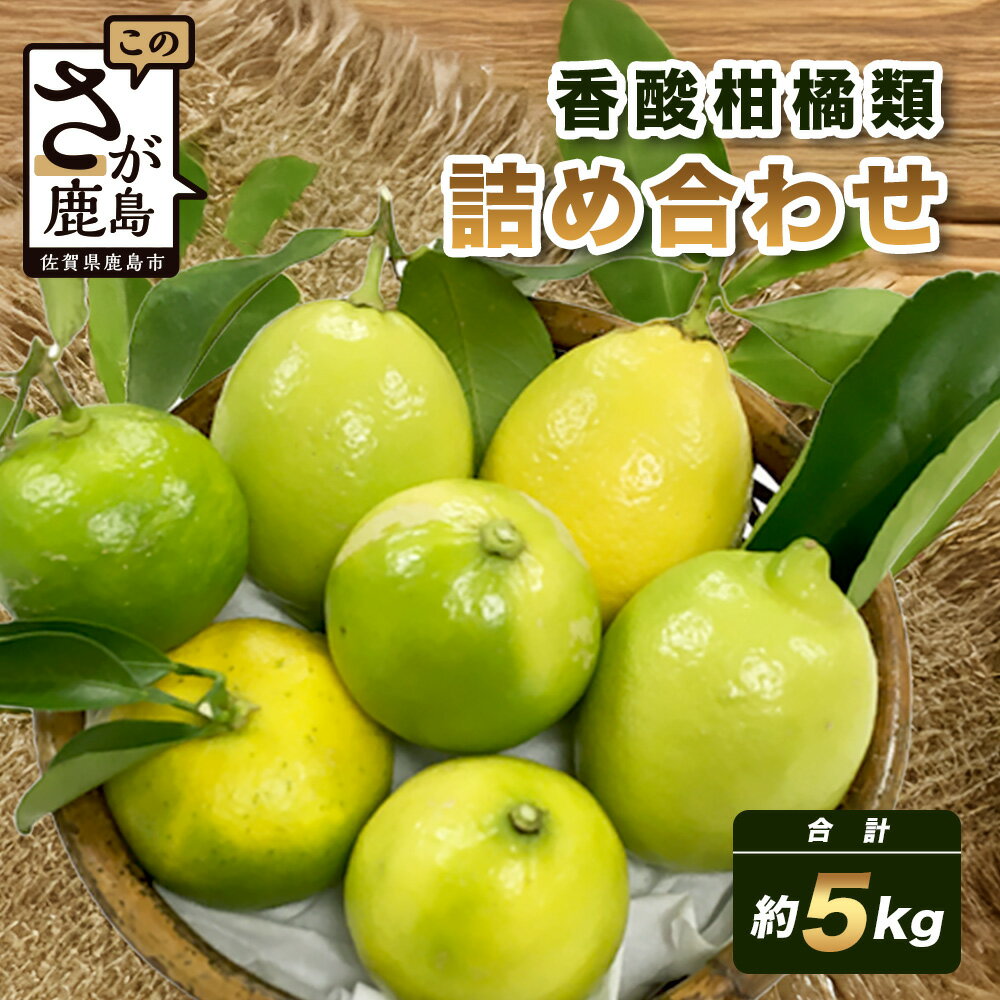 香酸柑橘類セット （リスボンレモン・キノス・げんこう・ライム）【約5kg 】メディアも注目の柑橘類の名人直送！かんきつ 柑橘 檸檬 れもん レモン 木酢 げんこう 薬味風味付け 国産 九州産 鹿島市産 佐賀県 鹿島市 送料無料 B-366