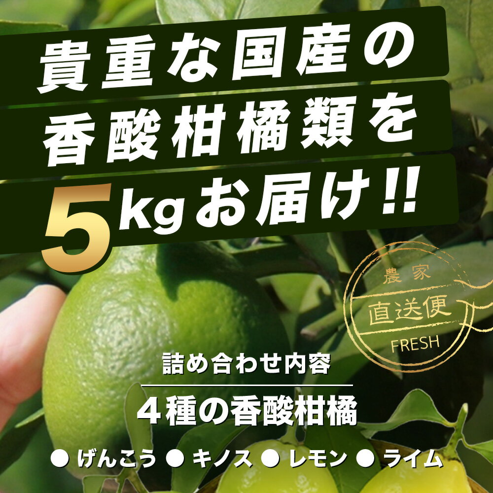 【ふるさと納税】香酸柑橘類セット （リスボンレモン・キノス・げんこう・ライム）【約5kg 】メディアも注目の柑橘類の名人直送！かんきつ 柑橘 檸檬 れもん レモン 木酢 げんこう 薬味風味付け 国産 九州産 鹿島市産 佐賀県 鹿島市 送料無料 B-366 サムネイル2