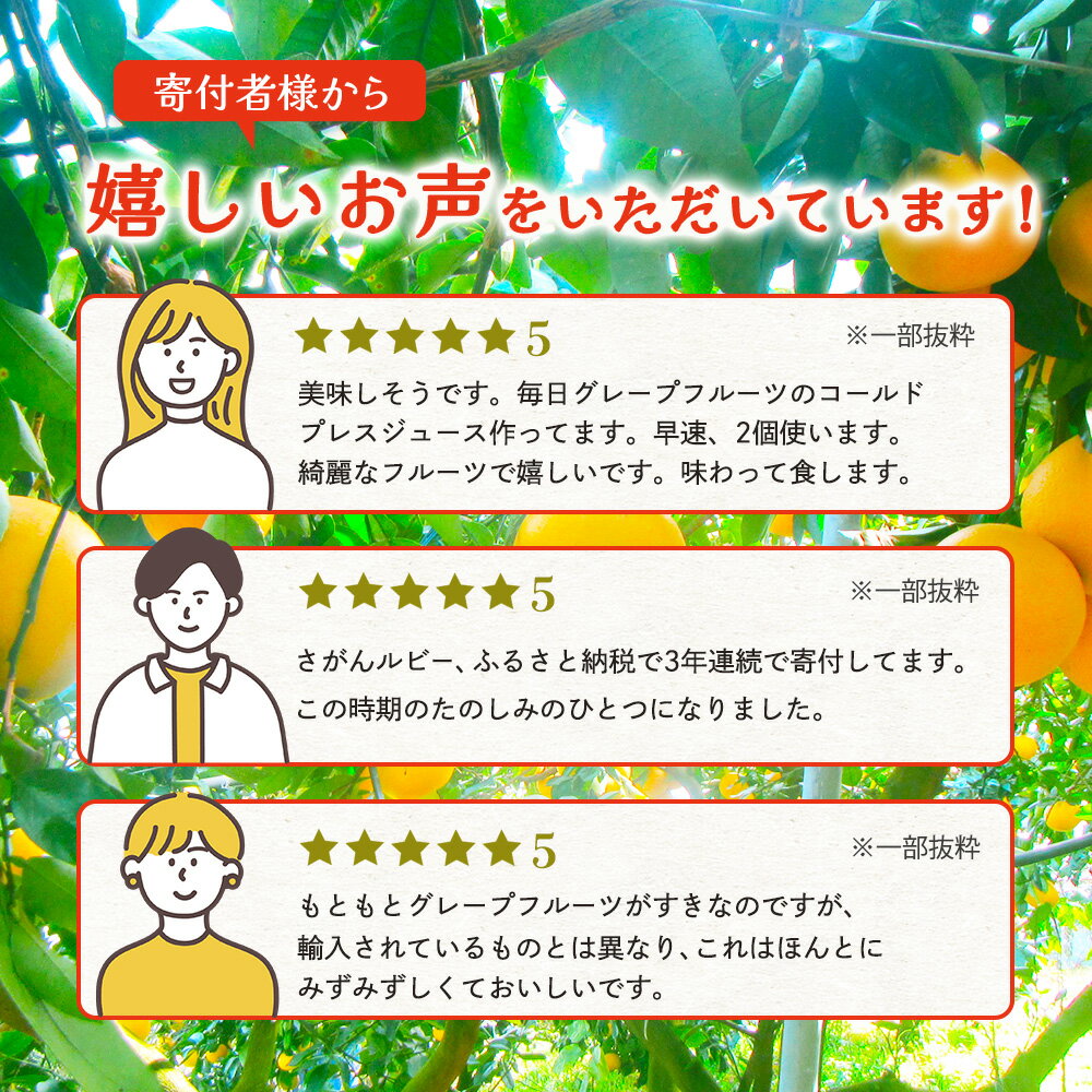 【ふるさと納税】数量限定 日本初！幻の国産グレープフルーツ！【さがんルビー 5kg（中玉12〜16個）】【先行予約】メディアも注目◆ジューシー柑橘｜柑橘 果物 フルーツ 生産者直送の安心品質 【3月下旬頃より順次発送予定】佐賀県 鹿島市 送料無料 B-2 - 画像3