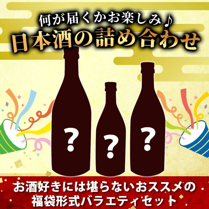 【ふるさと納税】【訳あり】【緊急応援企画】熟成 日本酒 詰め合わせ バラエティセット【お楽しみセット】【福袋セット】B-584 サムネイル2