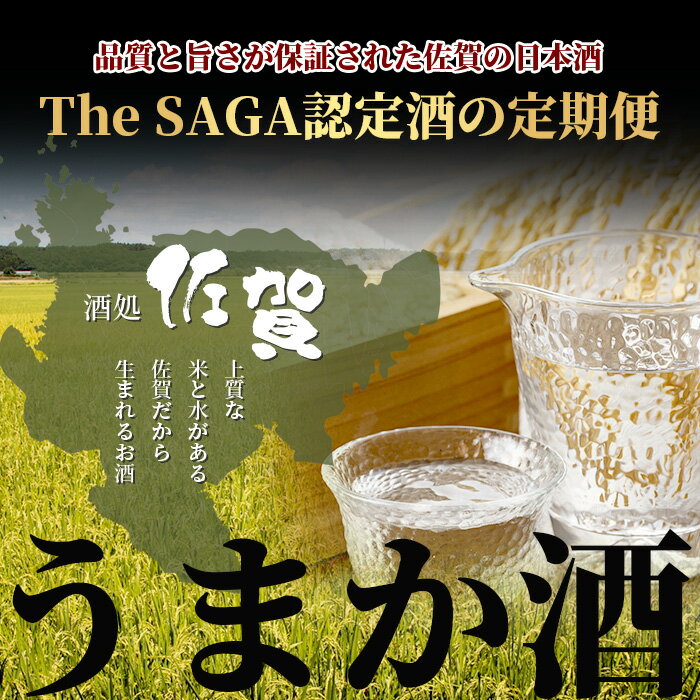 【ふるさと納税】【定期便】【3ヶ月】TheSAGA認定酒 おたのしみ定期便【毎月1回720ml×2本を計3回お届け】｜佐賀県 鹿島市 定期便 3回 お酒 酒 おさけ 日本酒 TheSAGA認定酒 TheSAGA 認定酒 純米吟醸酒 純米酒 特別純米酒 おまかせ 定期発送 人気 おすすめ 送料無料 F-64 サムネイル2