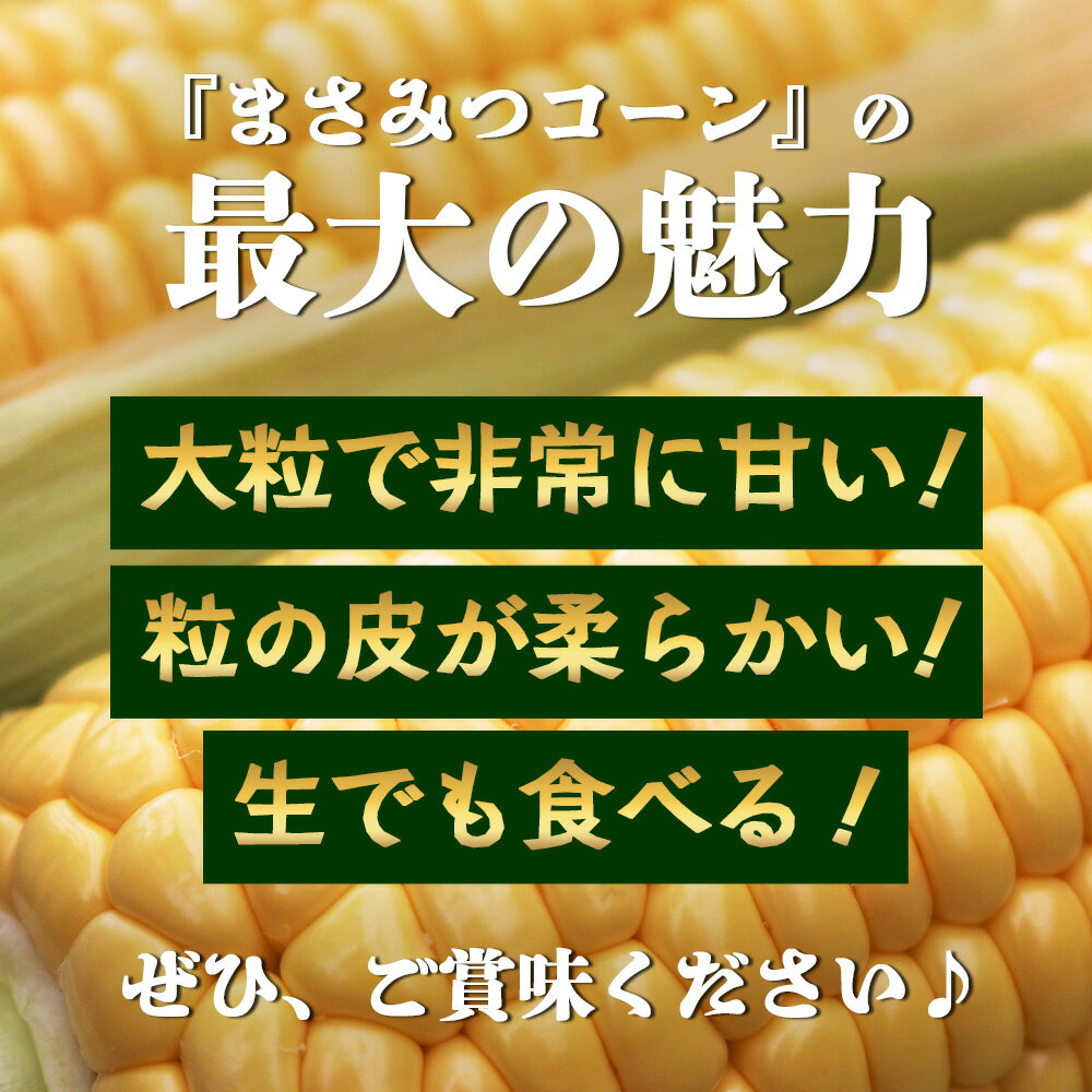 【ふるさと納税】高糖度スイートコーン「ゴールドラッシュ」9～10本 【予約受付】≪まさみつコーン≫ 朝採れ 新鮮 安心の冷蔵発送 佐賀県鹿島市産【2026年5月中旬より順次発送予定】野菜 コーン トウモロコシ とうもろこし 甘い おいしい 健康志向 佐賀県 鹿島市 人気 A-223 - 画像2