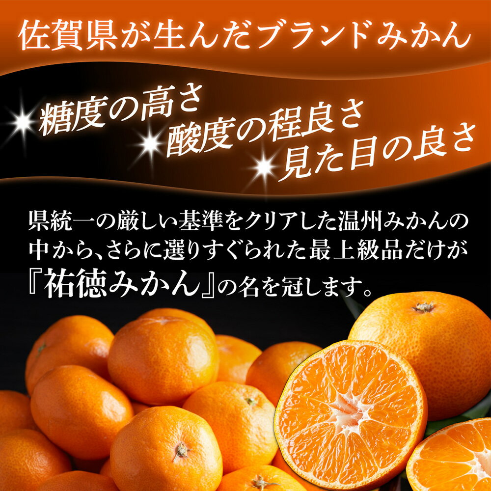 【ふるさと納税】【数量限定】祐徳みかん 約3kg 化粧箱入り《10月下旬〜12月頃発送予定》| ブランド 温州みかん 希少 高級 フルーツ 果物 ギフト 贈答 ミカン 蜜柑 柑橘 くだもの 果実 国産 九州 佐賀県 鹿島市 ふるさと 人気 送料無料 B-100 サムネイル2