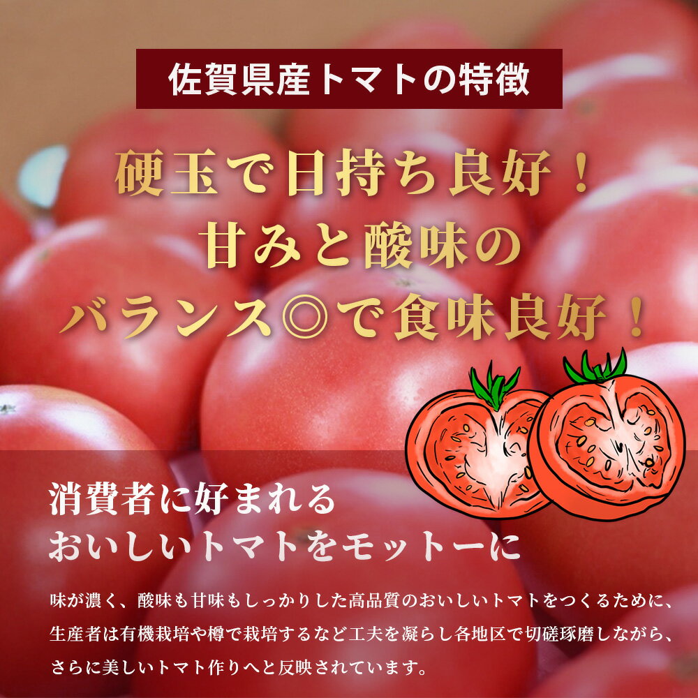 【ふるさと納税】JAトマト 約4kg | ふるさと とまと 野菜 やさい 大容量 日持ち良好 新鮮 朝採れ 旬 センサー選別 安心安全 産地直送 人気 佐賀県 鹿島市 送料無料 【3月上旬～5月下旬出荷予定】B-805 - 画像3