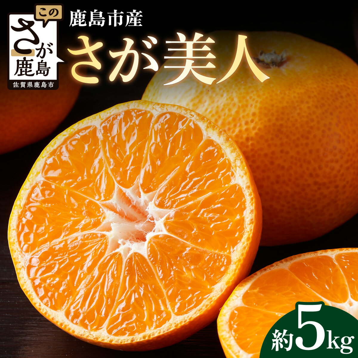 さが美人 温州みかん 約5kg｜ふるさと納税 みかん 佐賀県鹿島市産 ブランドみかん 贈答用 ギフト フルーツ 果物 くだもの 蜜柑 柑橘 高級 国産 ふるさと 送料無料 人気 お取り寄せ B-67