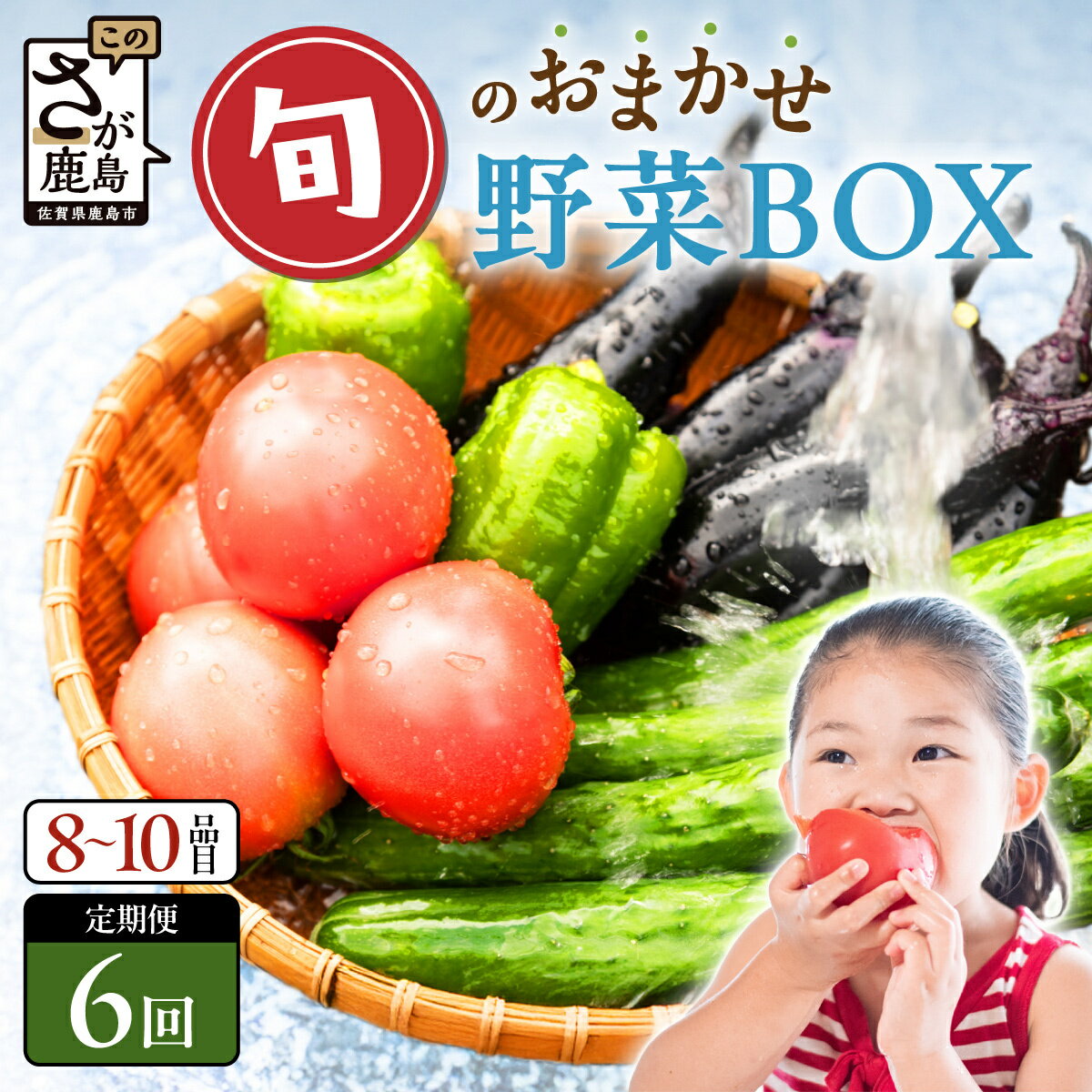 【選べる開始月・サイクル】野菜 定期便 6回 8~10品目 旬のおまかせ野菜セット 6ヶ月 | ふるさと納税 野菜 定期便 野菜セット 詰め合わせ 定期 半年 旬 定番 新鮮 産地直送 大容量 ふるさと 佐賀県 鹿島市 人気 送料無料 E-72