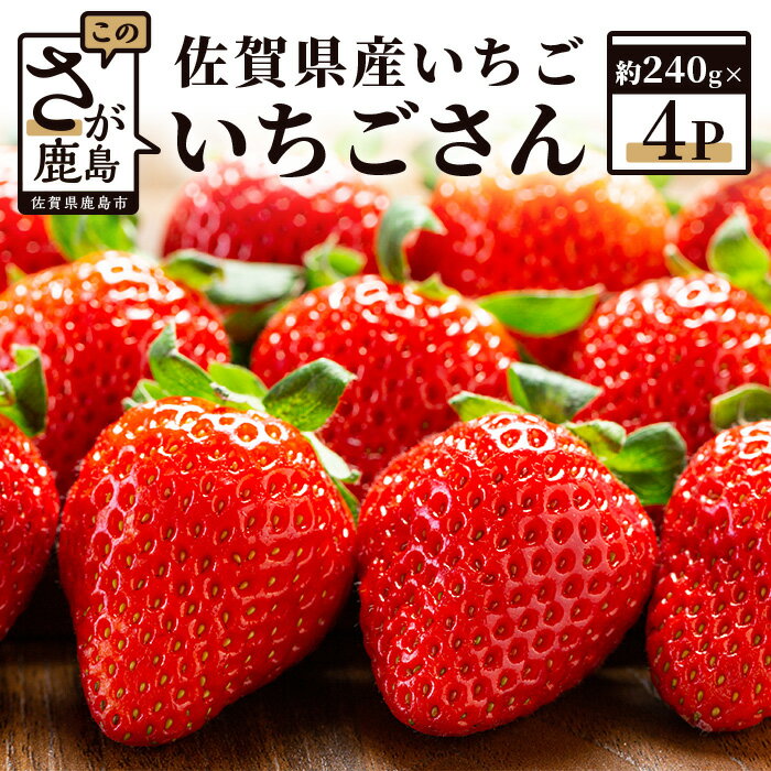 予約受付 佐賀県産 いちご いちごさん 480g or 960g （約240g×2 or 4パック） | ふるさと納税 いちご イチゴ 苺 果物 フルーツ 旬 贈答用 お取り寄せ ギフト ふるさと 人気 佐賀県 鹿島市 送料無料 B-465