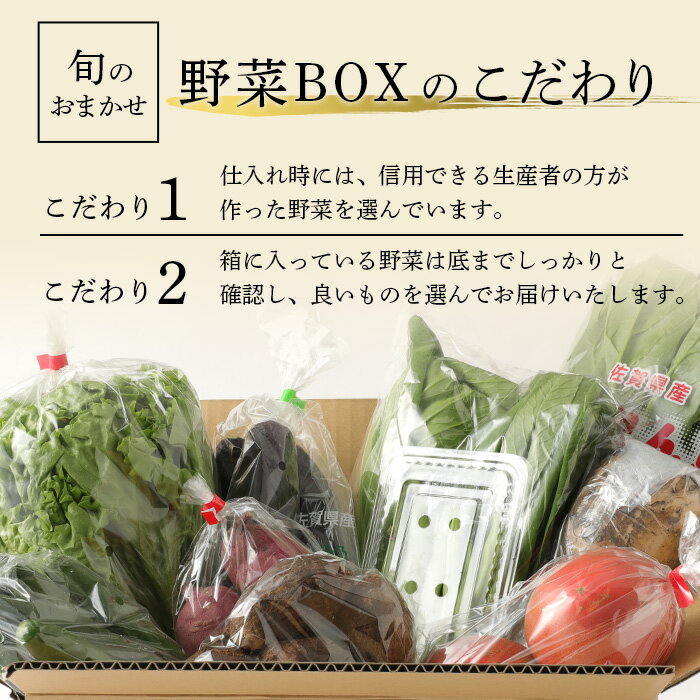 【ふるさと納税】旬の野菜 おまかせ野菜BOX 16~18品目 | ふるさと納税 野菜 やさい 定番 野菜 セット 野菜セット 国産 詰め合わせ 旬 新鮮 季節野菜 産地直送 大容量 ふるさと 佐賀県 鹿島市 人気 送料無料 B-690 サムネイル2