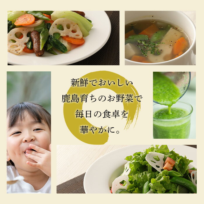 【ふるさと納税】旬の野菜 おまかせ野菜BOX 16~18品目 | ふるさと納税 野菜 やさい 定番 野菜 セット 野菜セット 国産 詰め合わせ 旬 新鮮 季節野菜 産地直送 大容量 ふるさと 佐賀県 鹿島市 人気 送料無料 B-690 サムネイル3